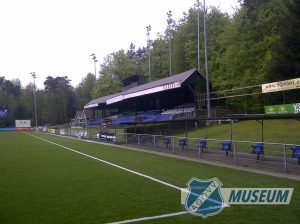 AGOVV-tribune-2013-5-8